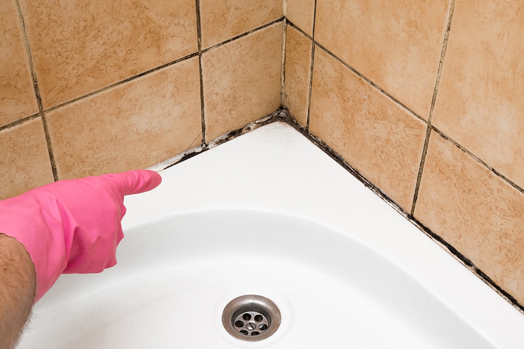 black mold removal kitchen sink grout